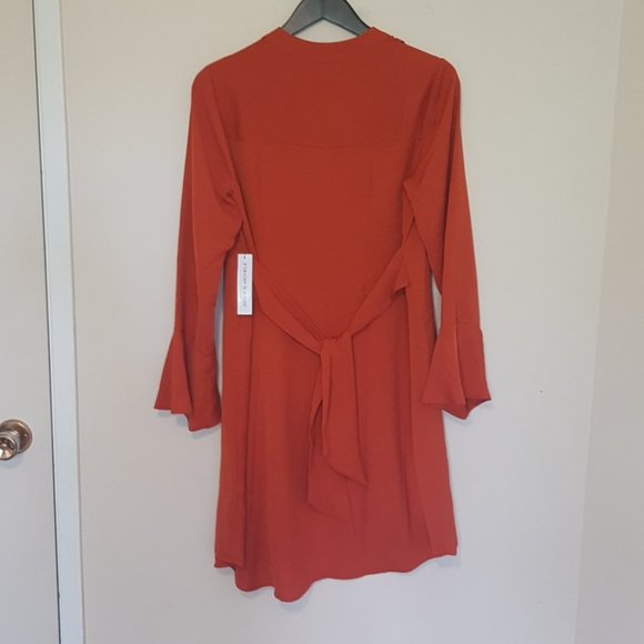 Emma & Michele rust orange bell flare sleeve midi dress - Picture 7 of 8